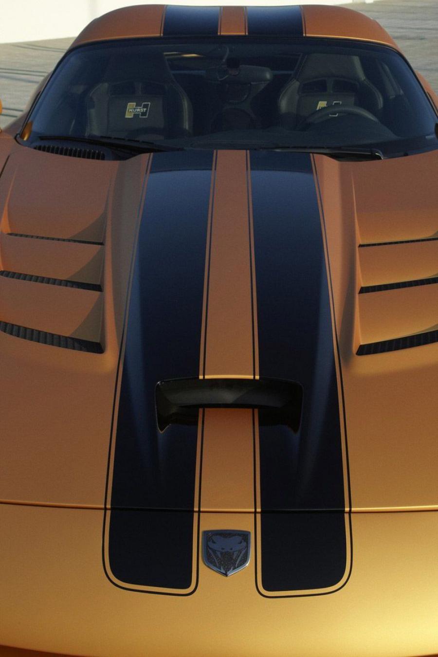  Dodge Viper Limited Edition by Hurst 2008 года  (фото 7 из 9)